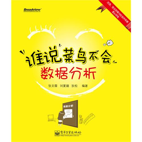 谁说菜鸟不会数据分析(全彩) [平装]