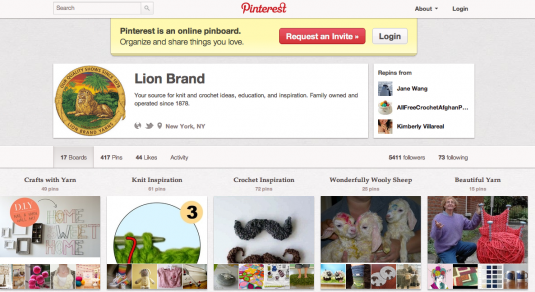 Show your product in photos on Pinterest -Lion Brand