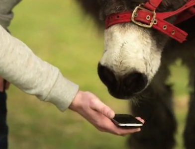 google-is-teaching-computers-to-translate-one-language-into-another