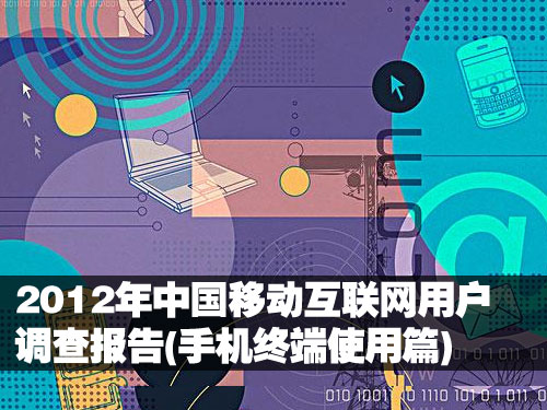 ZDC：2012年中国移动互联网用户调查研究报告