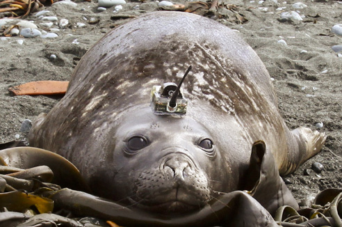 里克•斯莫兰：大数据掀人类文明革命 探索更多未知