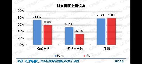 图 12 中国城乡网民上网设备