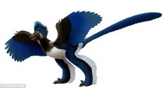 最新研究:不会飞行恐龙已形成鸟类大脑结构