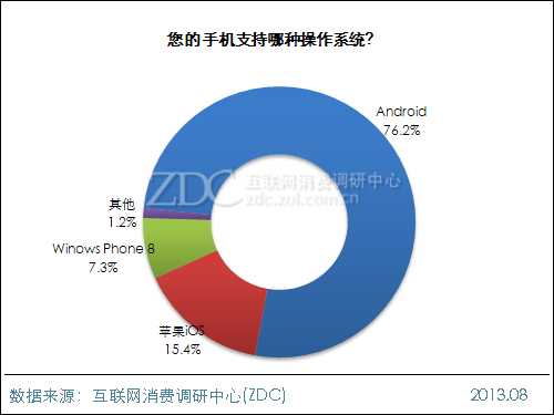 2013年中国IT网民手机拍照行为调查报告