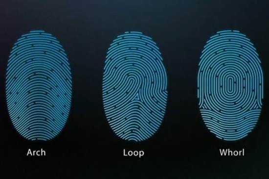 你所不知道的指纹识别
