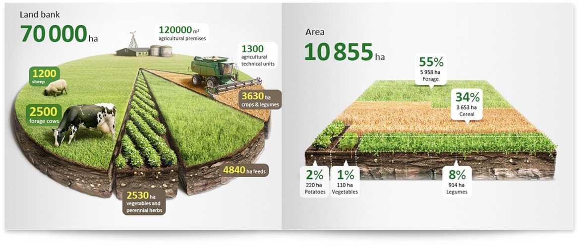 热门有趣的信息图是怎样诞生的？