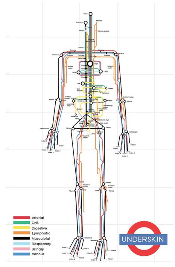 热门有趣的信息图是怎样诞生的？