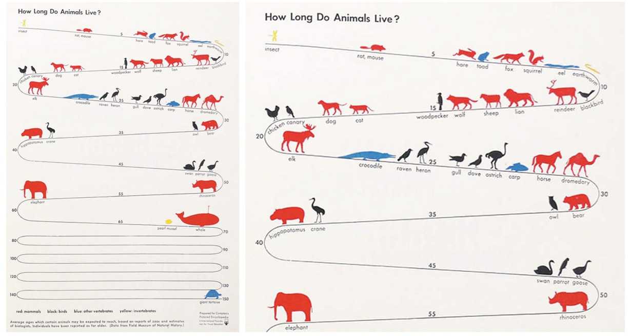 热门有趣的信息图是怎样诞生的？