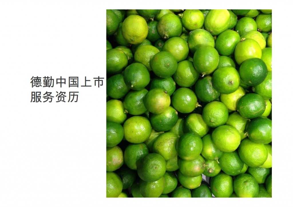 2015年Q1香港及中国大陆IPO市场_043