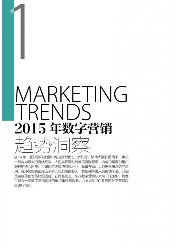 华扬联众：2015年中国数字营销行动报告_005
