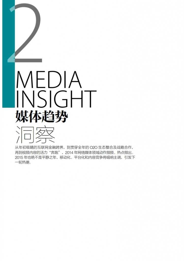 华扬联众：2015年中国数字营销行动报告_018