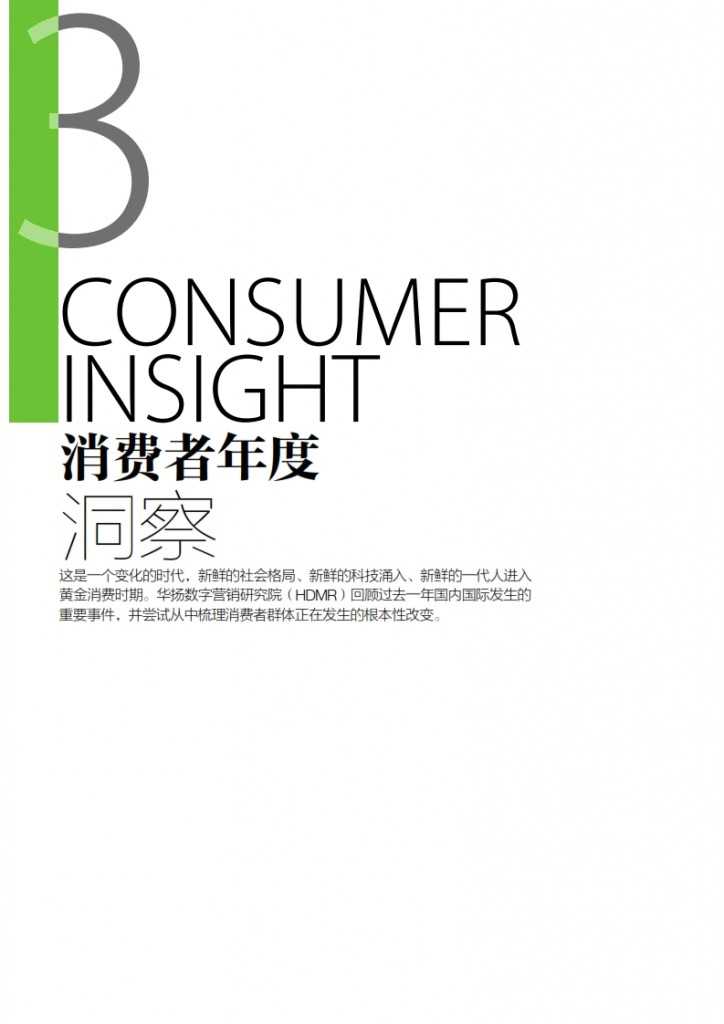 华扬联众：2015年中国数字营销行动报告_030