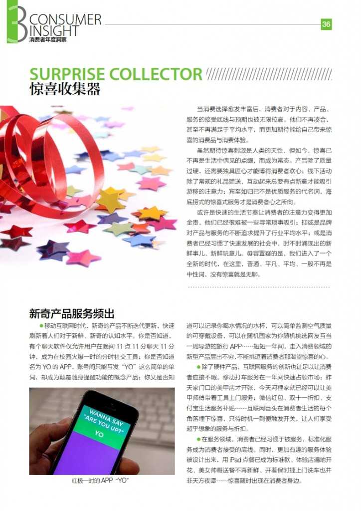 华扬联众：2015年中国数字营销行动报告_037