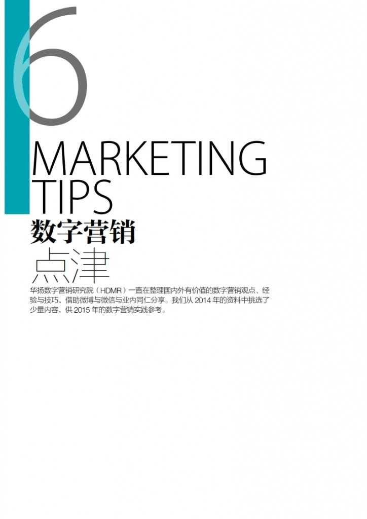 华扬联众：2015年中国数字营销行动报告_065