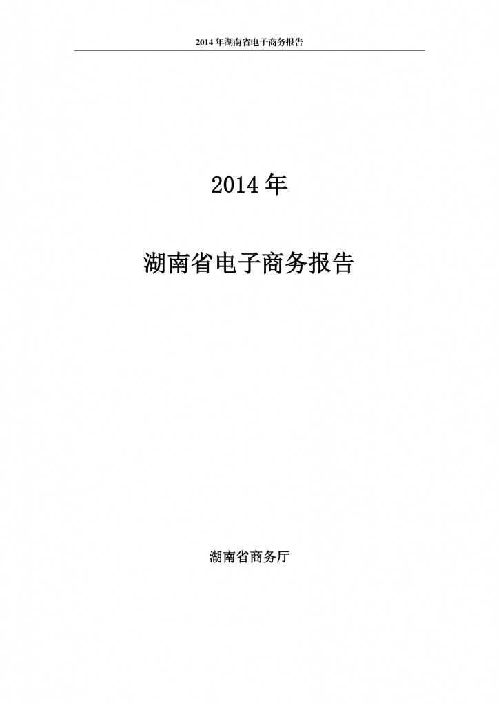 2014年湖南省电子商务报告_000001