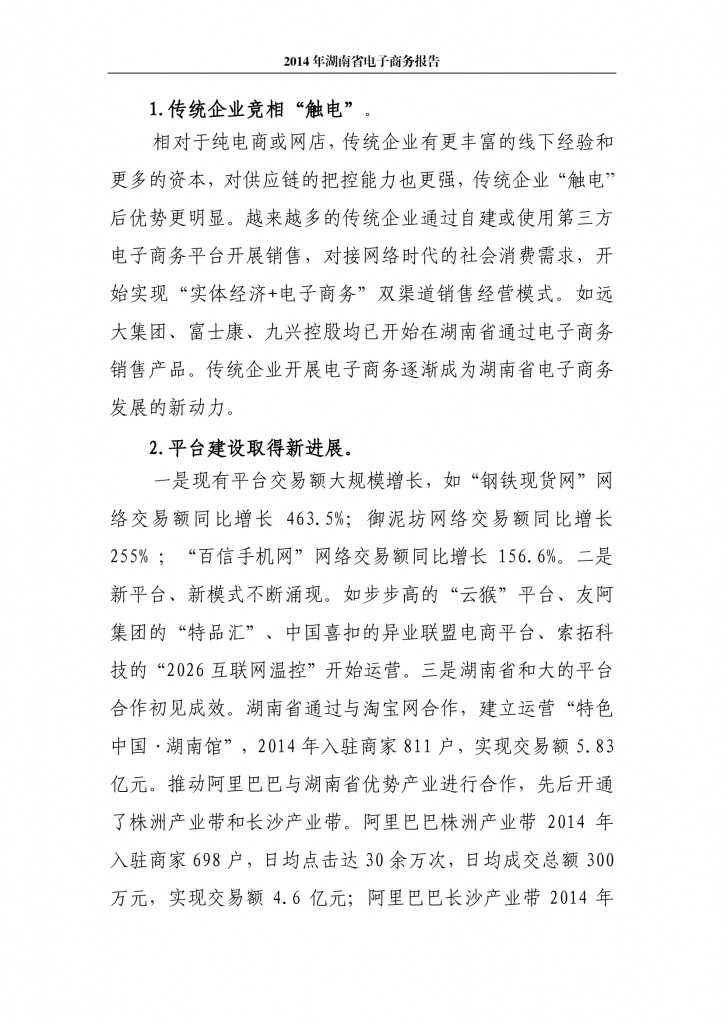 2014年湖南省电子商务报告_000006