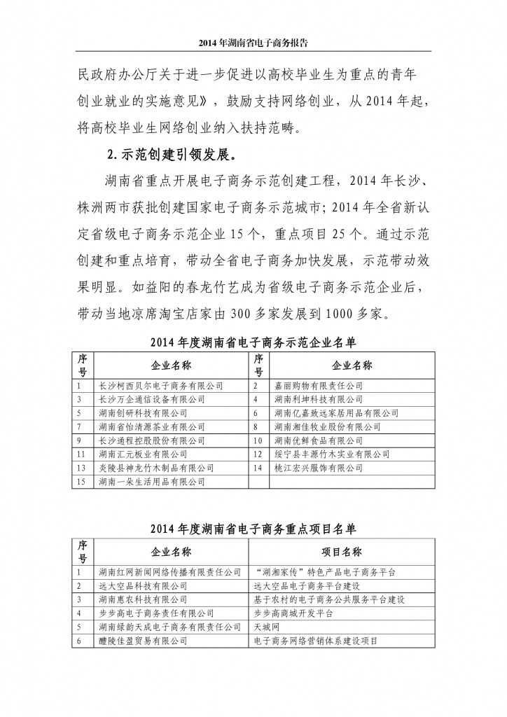 2014年湖南省电子商务报告_000012