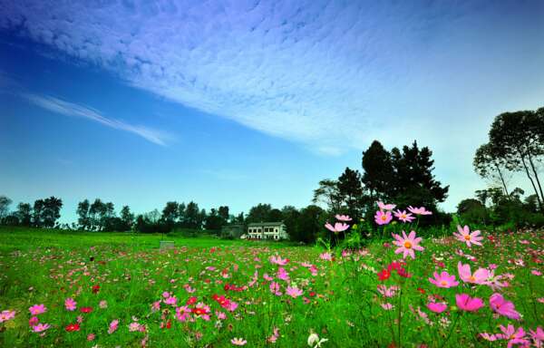 xiangcun160119a-600x384