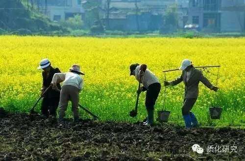 1459757127-1301-coDmtvTxfnbwf0535vJHushVyI7w