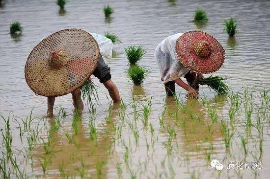 1459757128-7992-08mMHvpq1iaRQtoqr41sAQtdDDPA