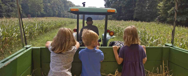 1465097514-5075-01170119b01m