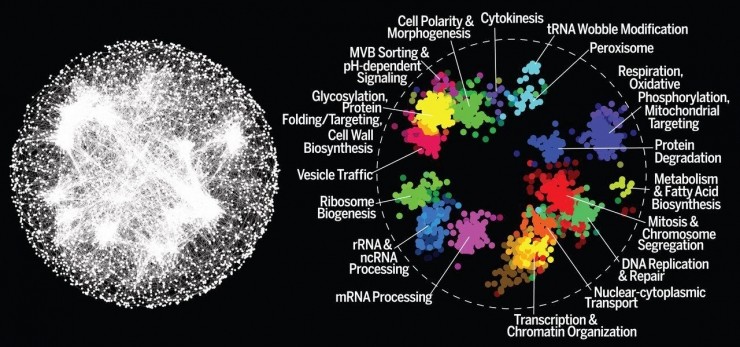 1481727977-7598-58483332b62f5