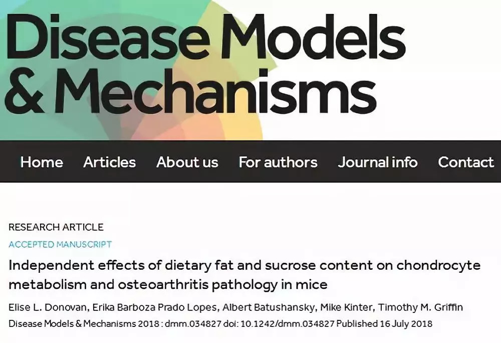 OMRF:研究发现碳水化合物可能导致骨关节炎