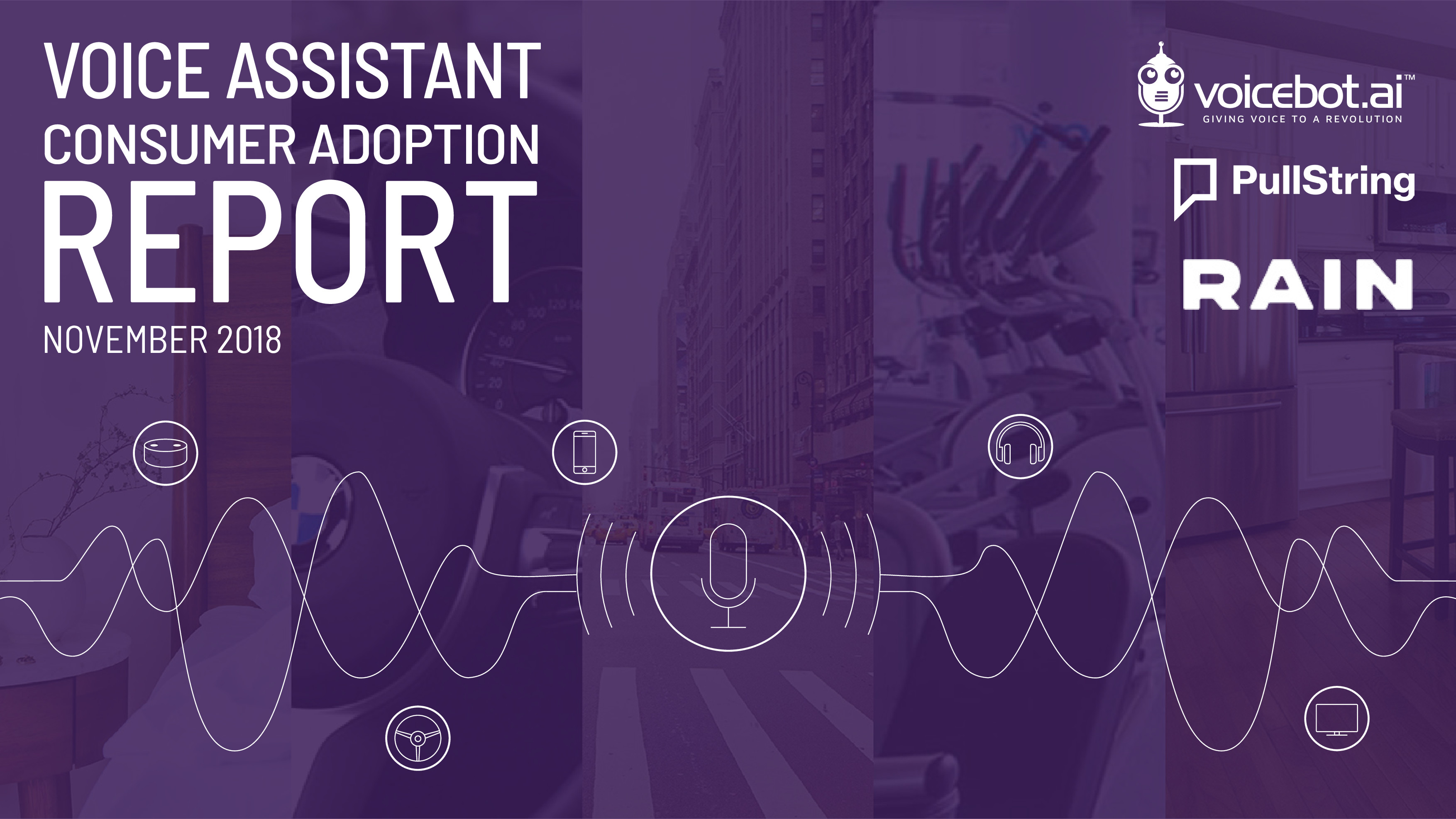 voice-assistant-consumer-adoption-report-2018-voicebot-0.jpg