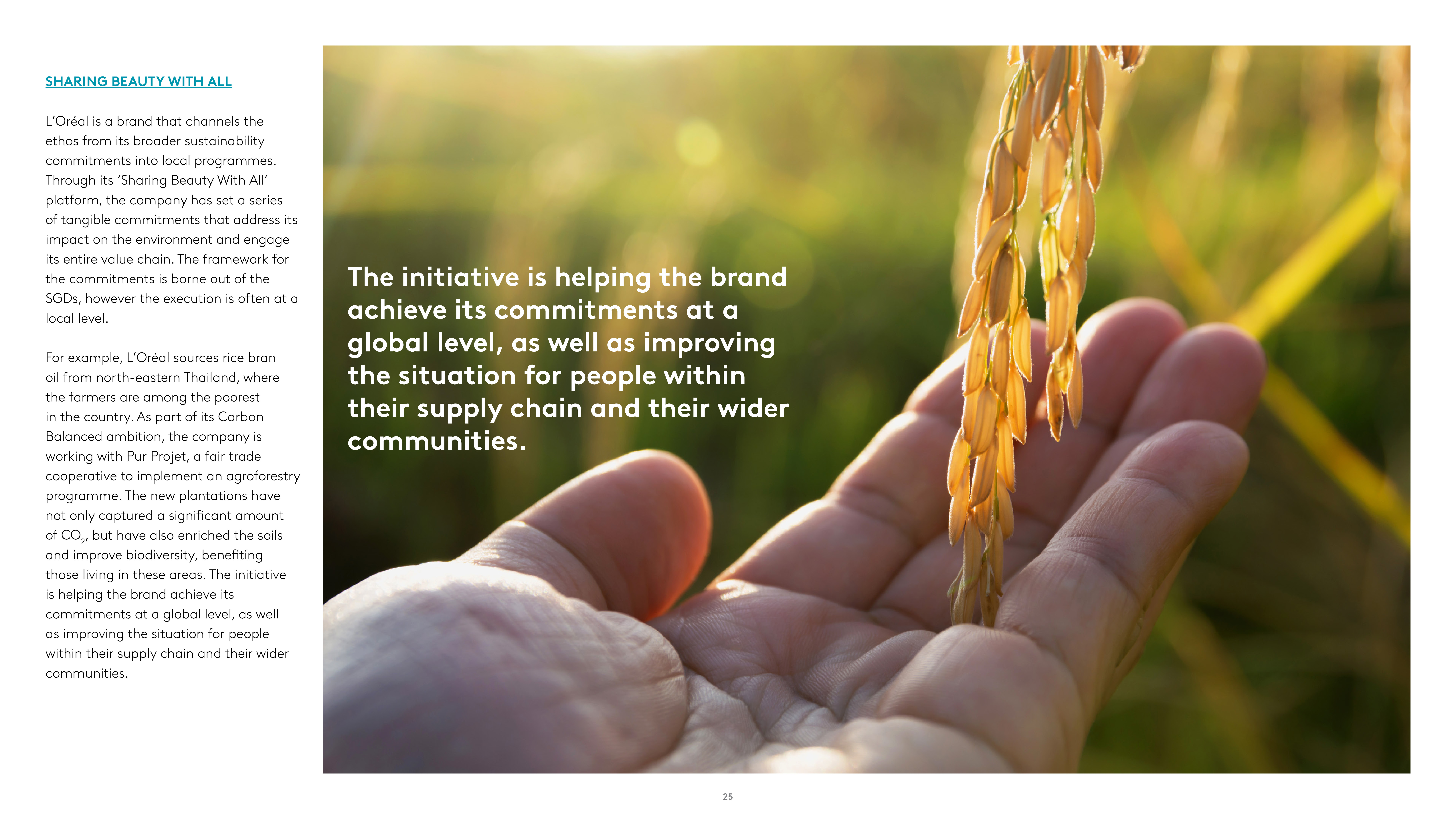 Kantar:2018年亚洲消费者调查报告