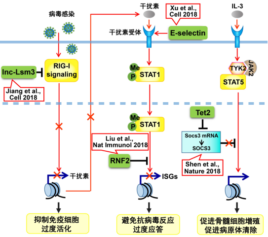 中国科协生命科学学会联合体：中国生命科学十大进展