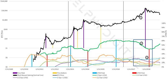Delphi Digital：加密货币熊市或已到头 有望触底反弹