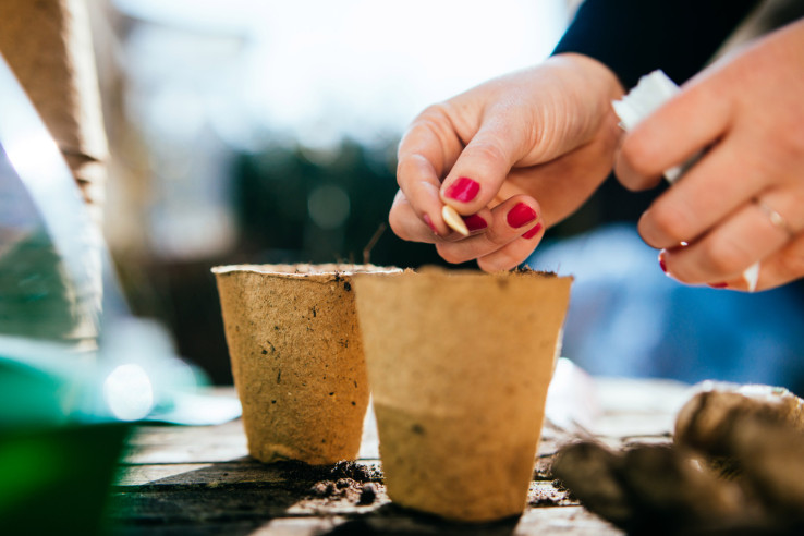 CB Insights:2018年美国风投行业盘点