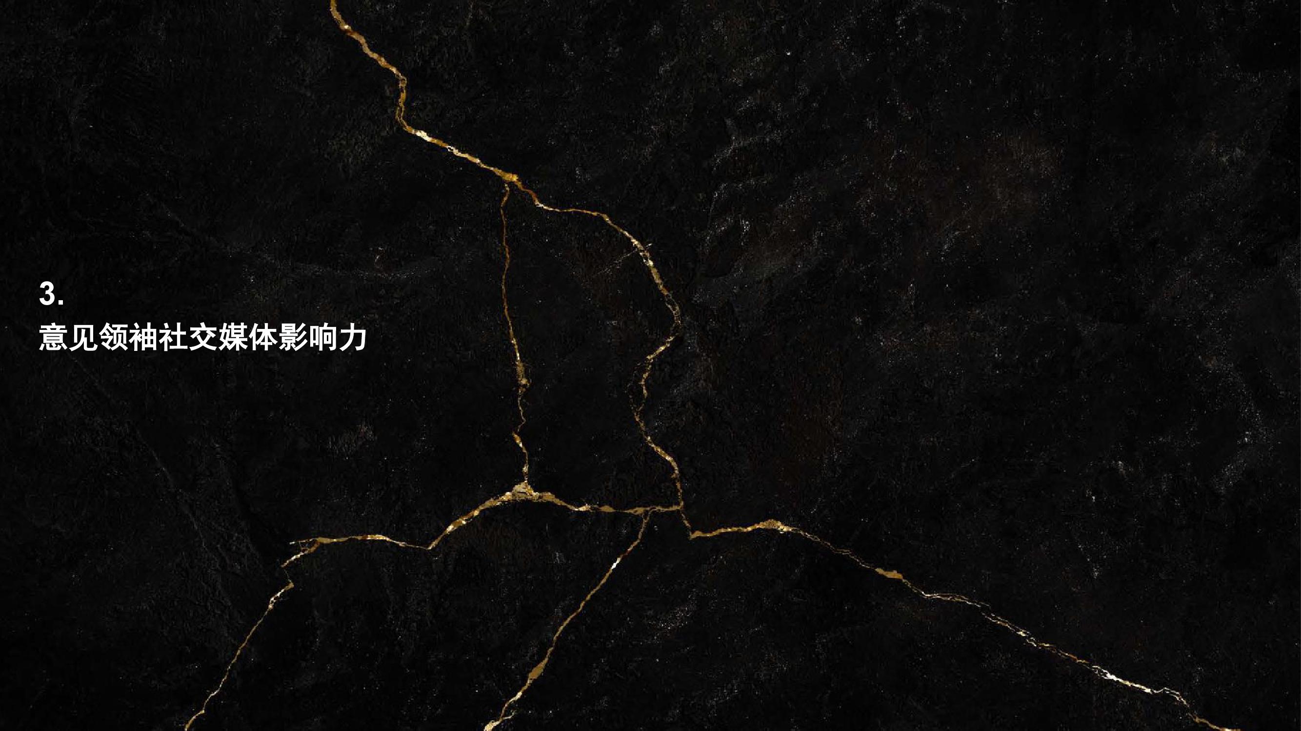 凯度：2018年中国社交媒体影响报告（199it）