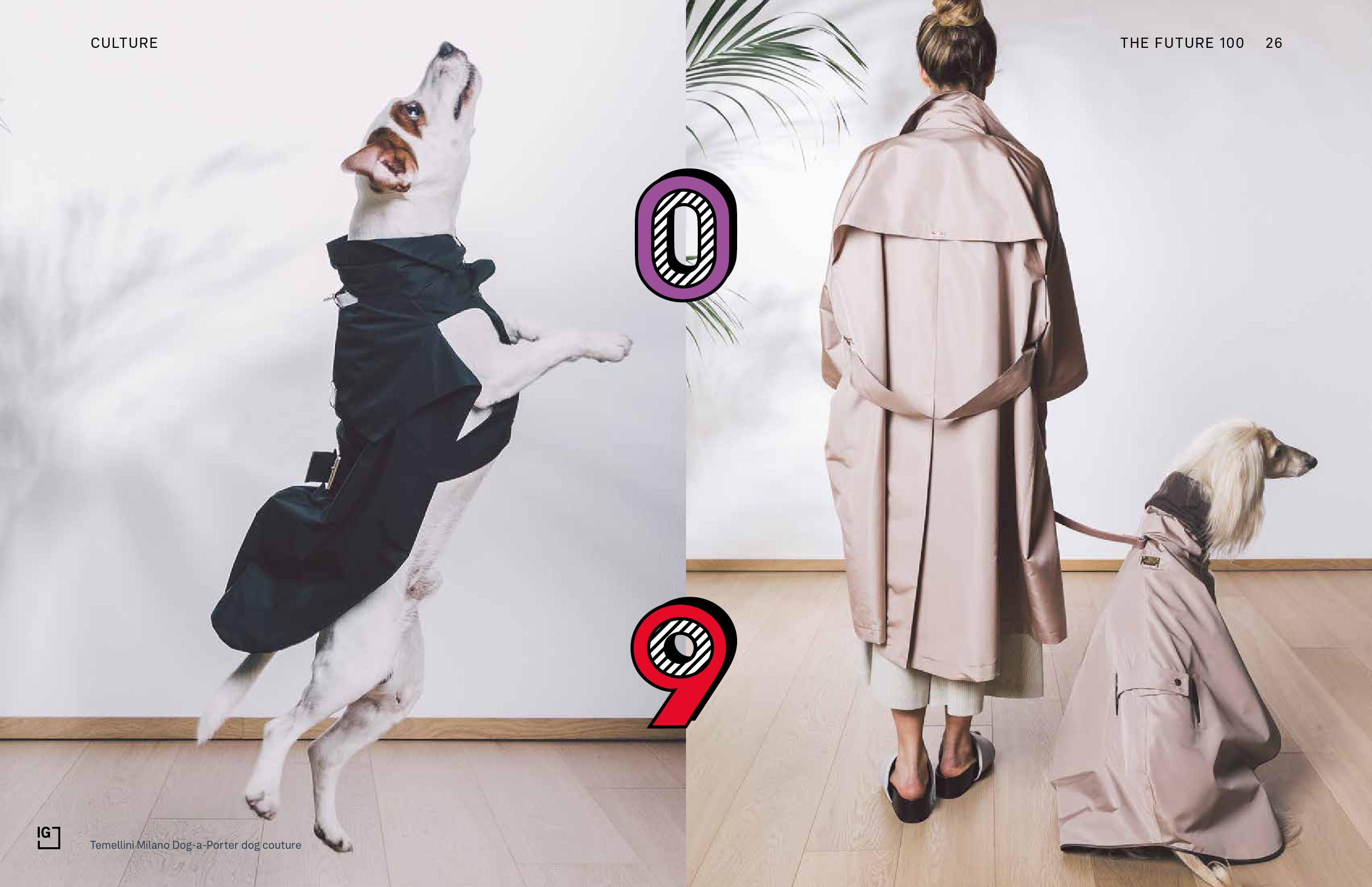 智威汤逊:2019全球100大趋势报告(237页)