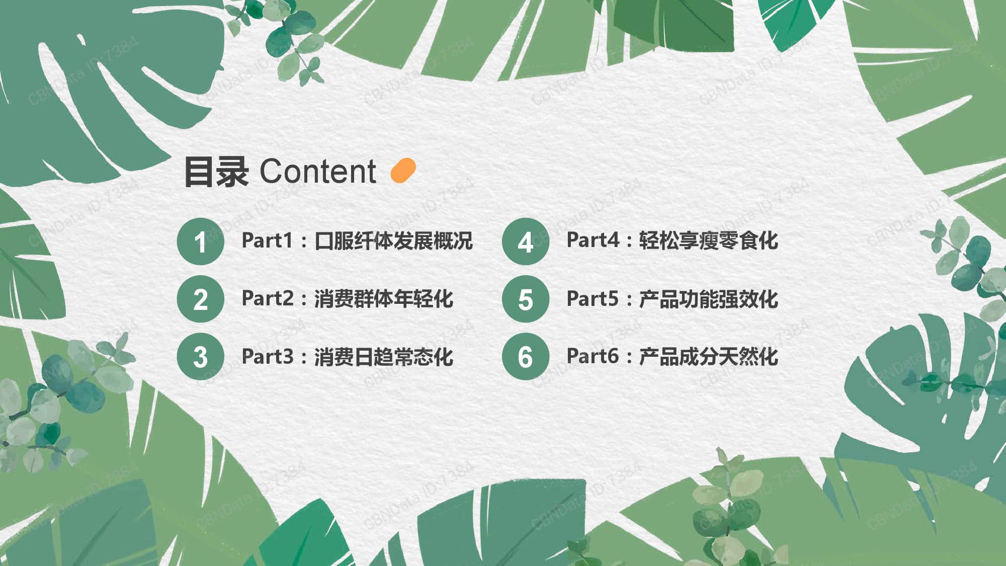 天猫国际:2019口服纤体品类发展趋势报告(199it)