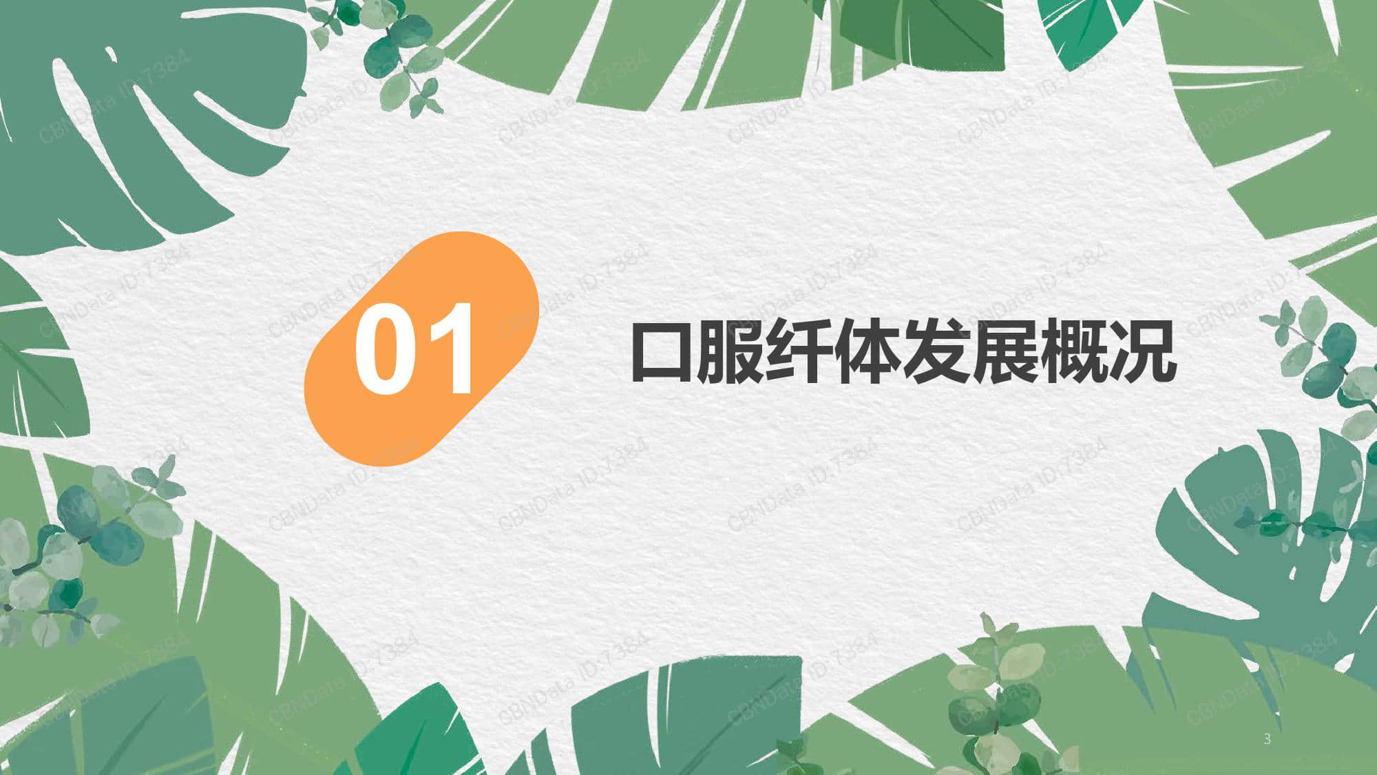 天猫国际:2019口服纤体品类发展趋势报告(199it)