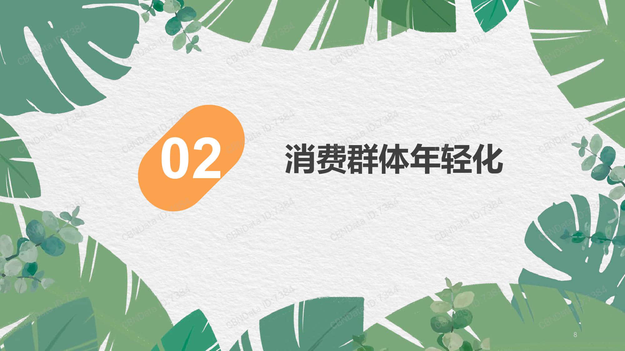 天猫国际:2019口服纤体品类发展趋势报告(199it)