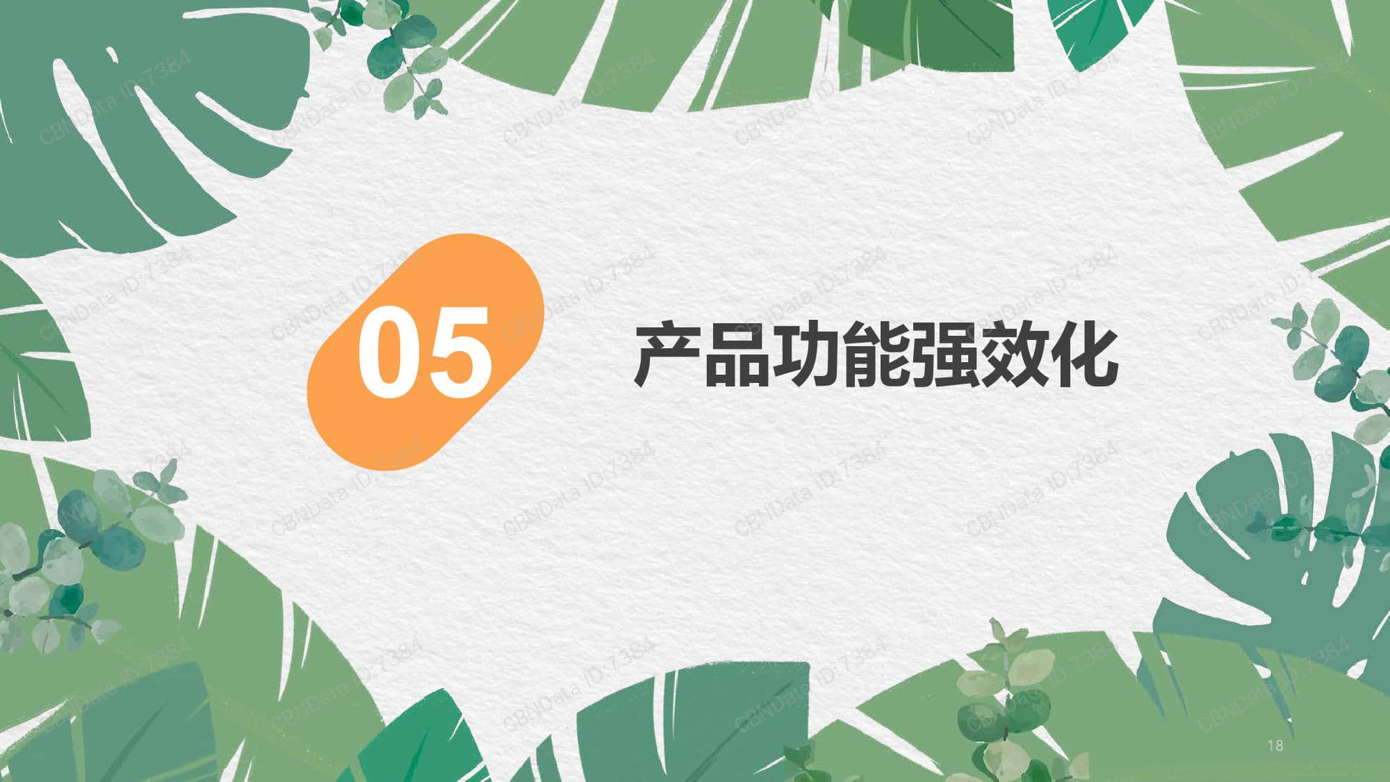 天猫国际:2019口服纤体品类发展趋势报告(199it)