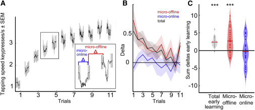 美国国立卫生研究院:研究称人们可以通过简单活动来提高技能学习