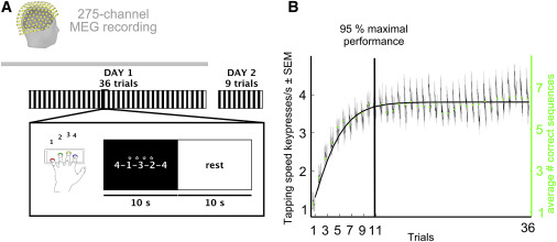 美国国立卫生研究院:研究称人们可以通过简单活动来提高技能学习