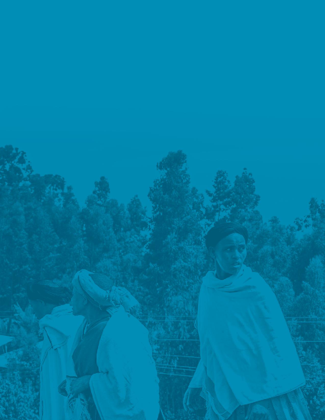 国际食物政策研究所:2019全球粮食政策报告(166页)