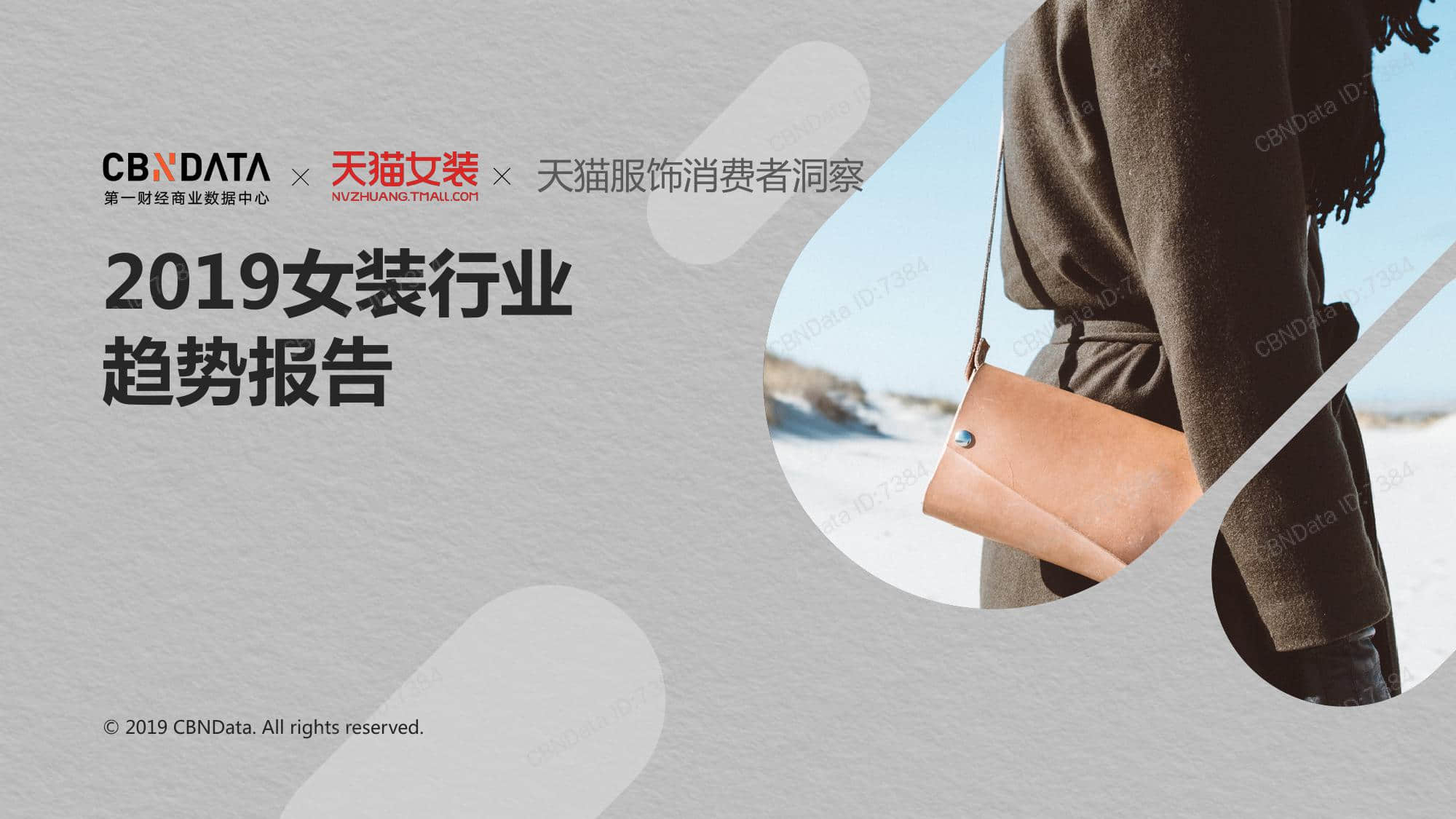 CBNData:2019女装行业趋势报告(199it)