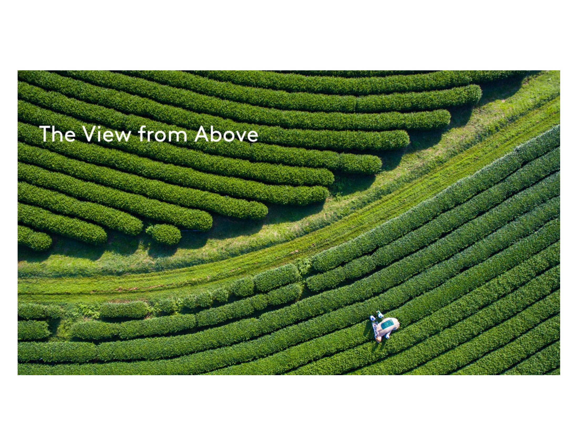 Kantar Media:2019年印刷和网络促销报告