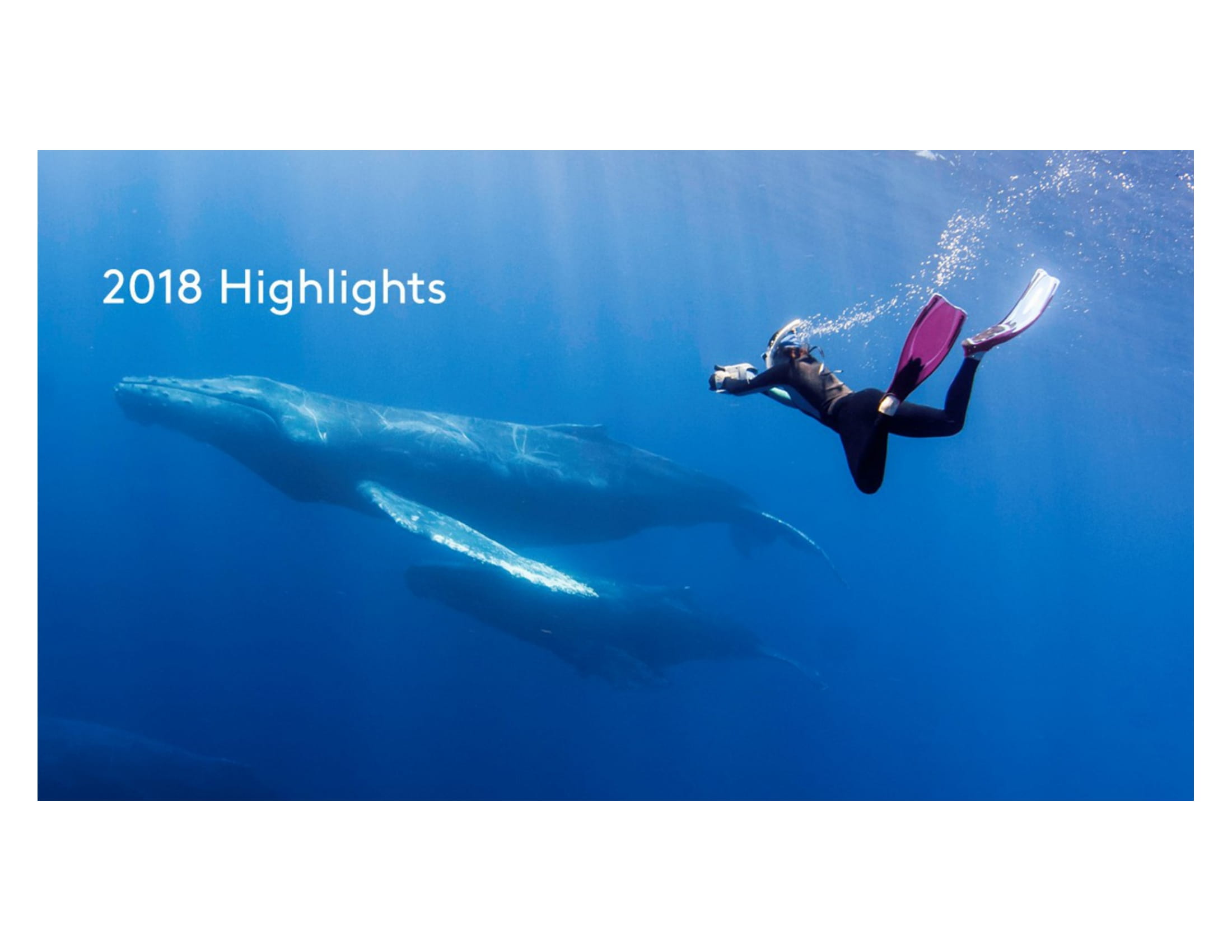 Kantar Media:2019年印刷和网络促销报告