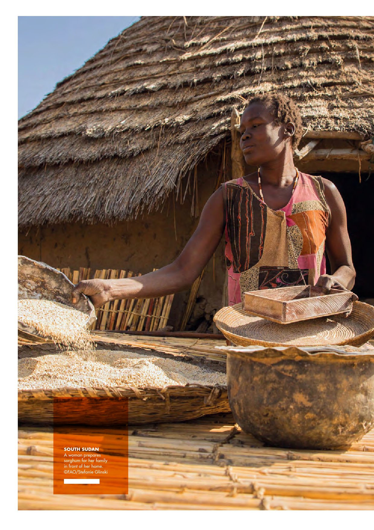 联合国粮农组织:2019年世界粮食安全和营养状况报告(239页)