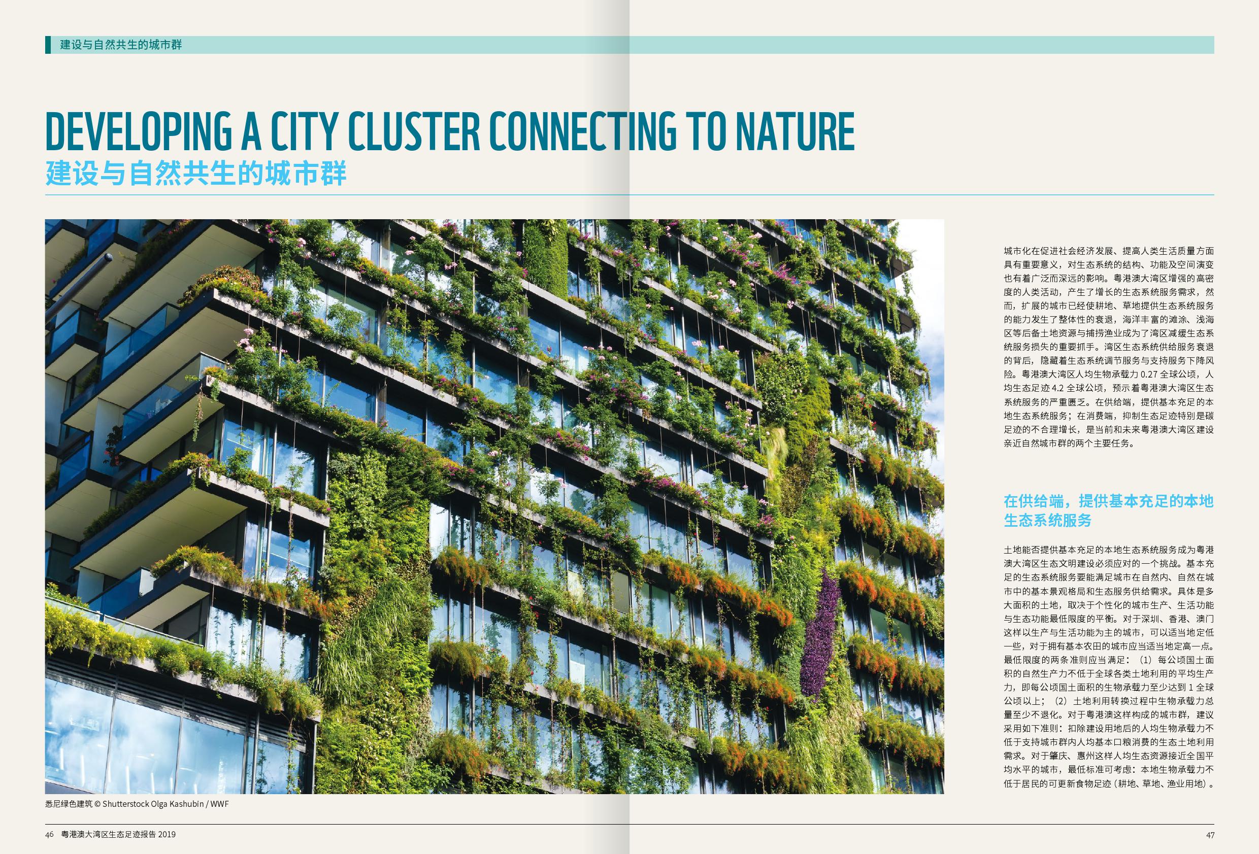 WWF：2019粤港澳大湾区生态足迹报告