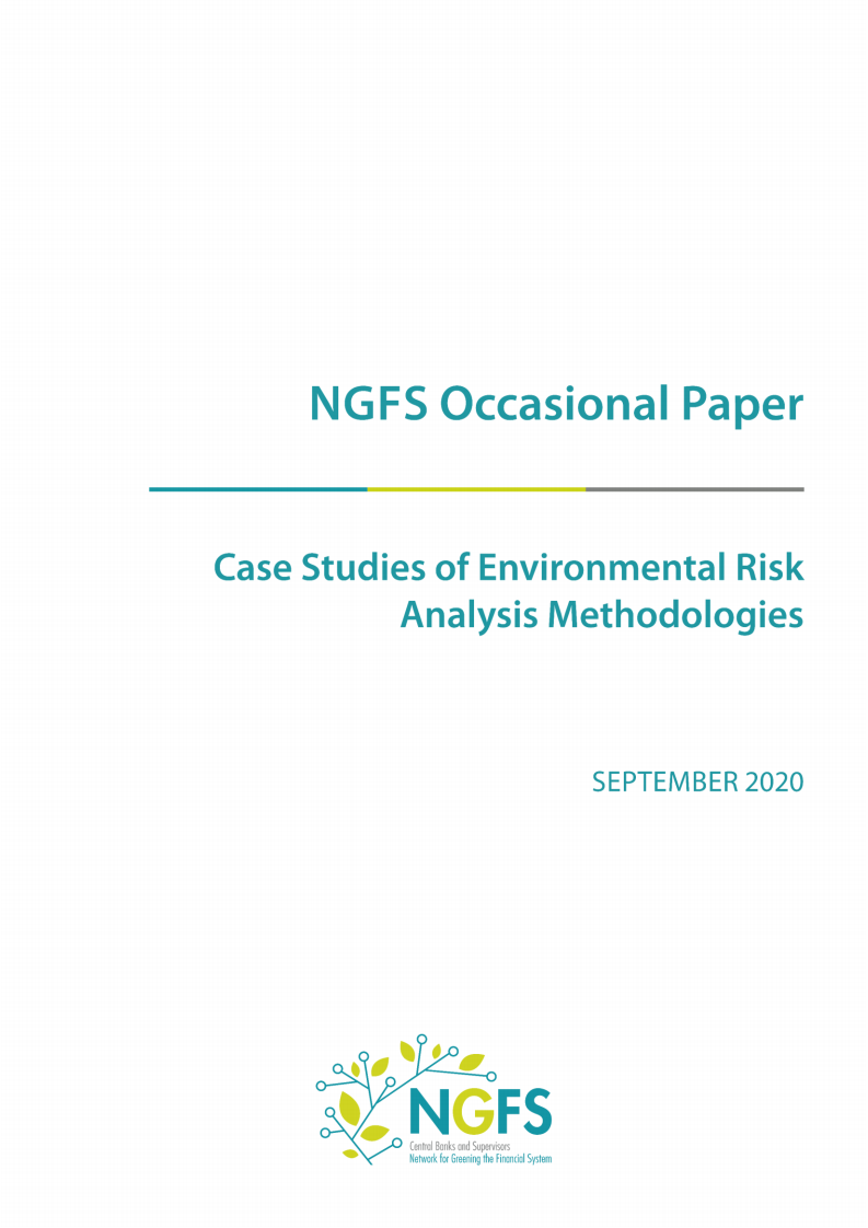 NGFS：金融环境风险分析方法案例集报告（616页）