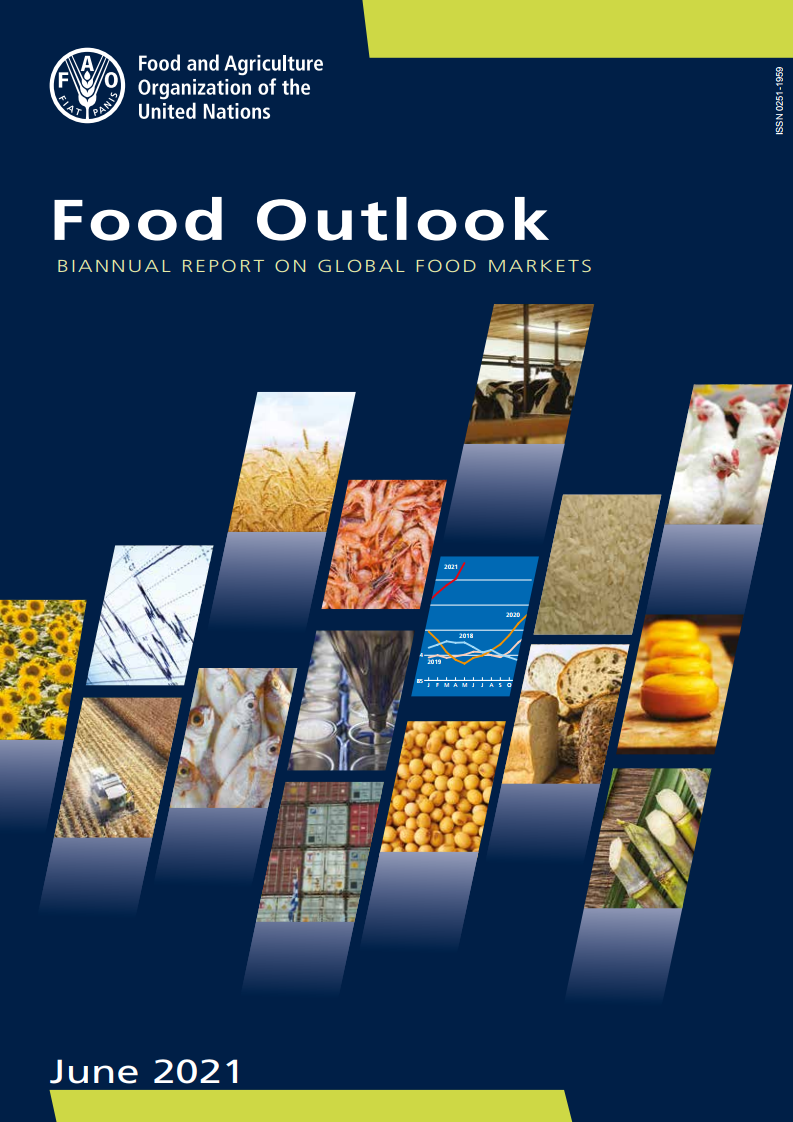 联合国粮食及农业组织：2020年全球粮食展望报告