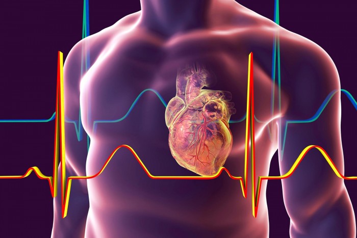 美国心脏协会：患有心脏缺陷的人患新冠和死亡的风险更大