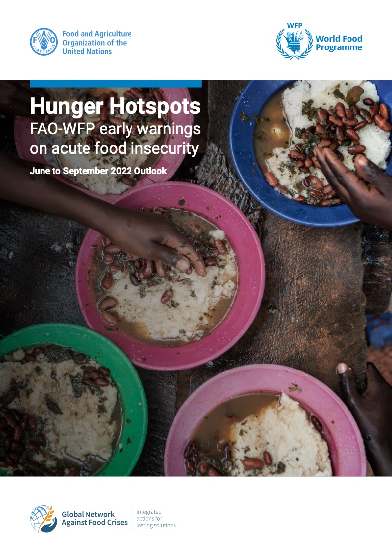 FAO&WFP：2022年“饥饿热点”报告